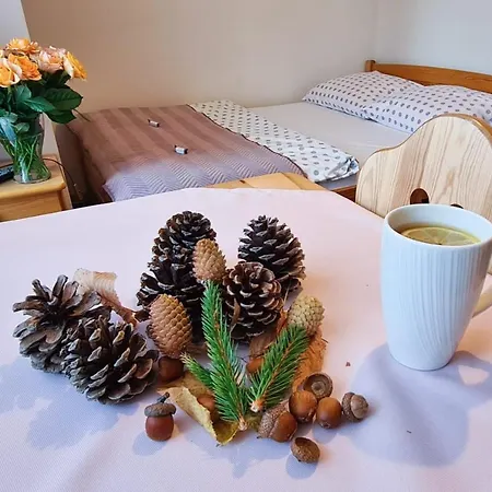 Quarto em Acomodações Particulares świdrówka 2